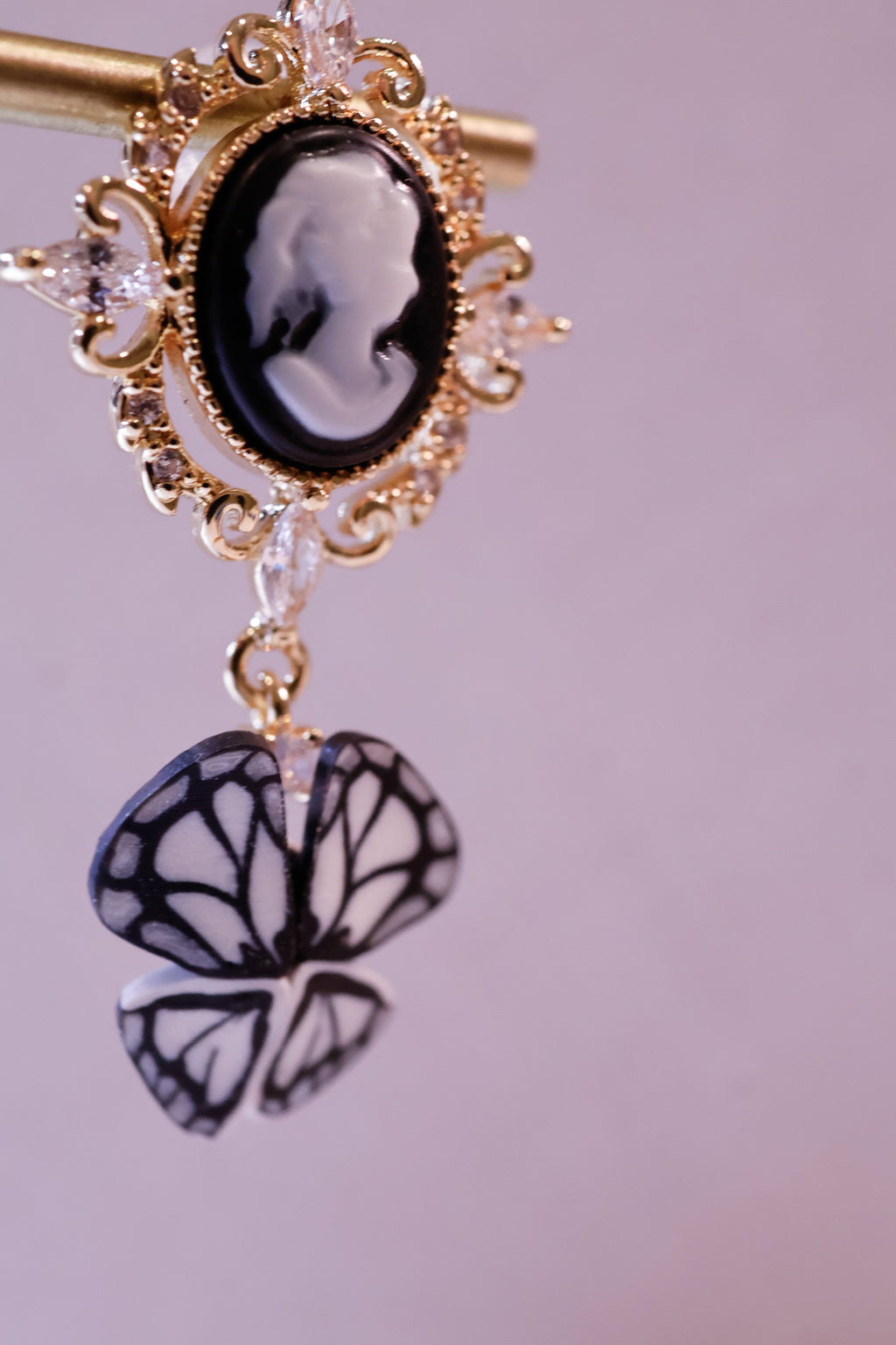 🦋Victorian charm