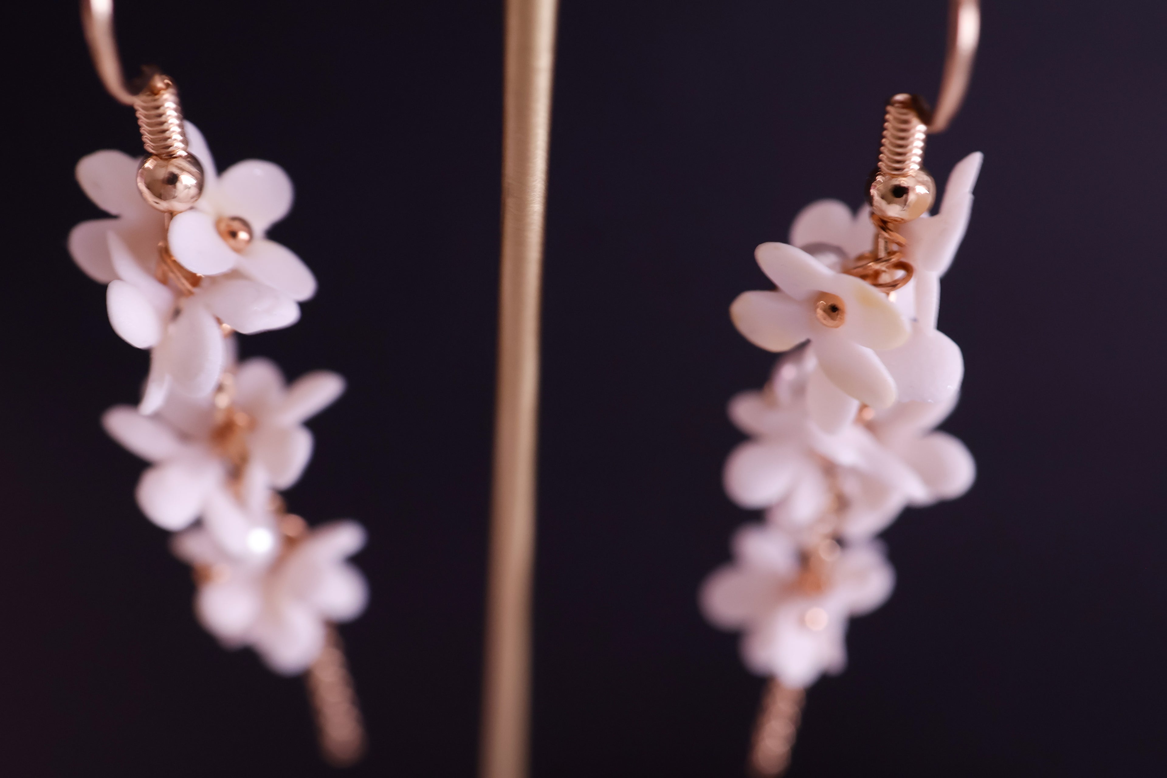 Hayes's pearl white daisy (shell pearl)