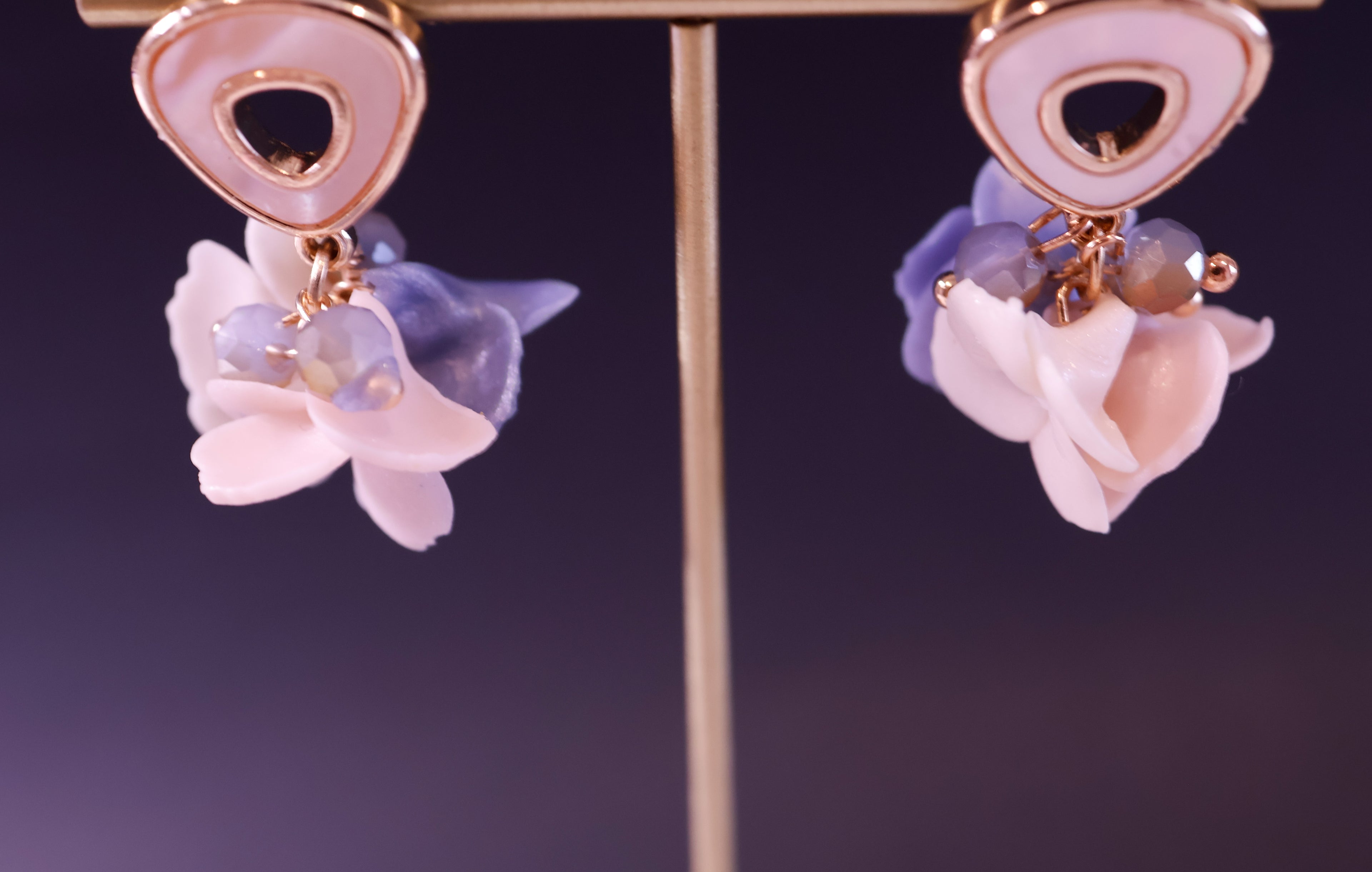 Hayes's Enchanted Bloom
