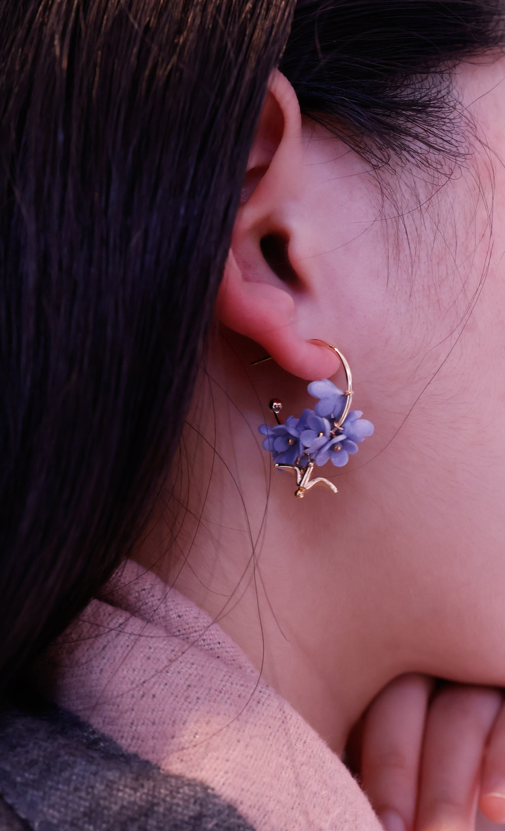 Hayes's blue daisy with golden bird